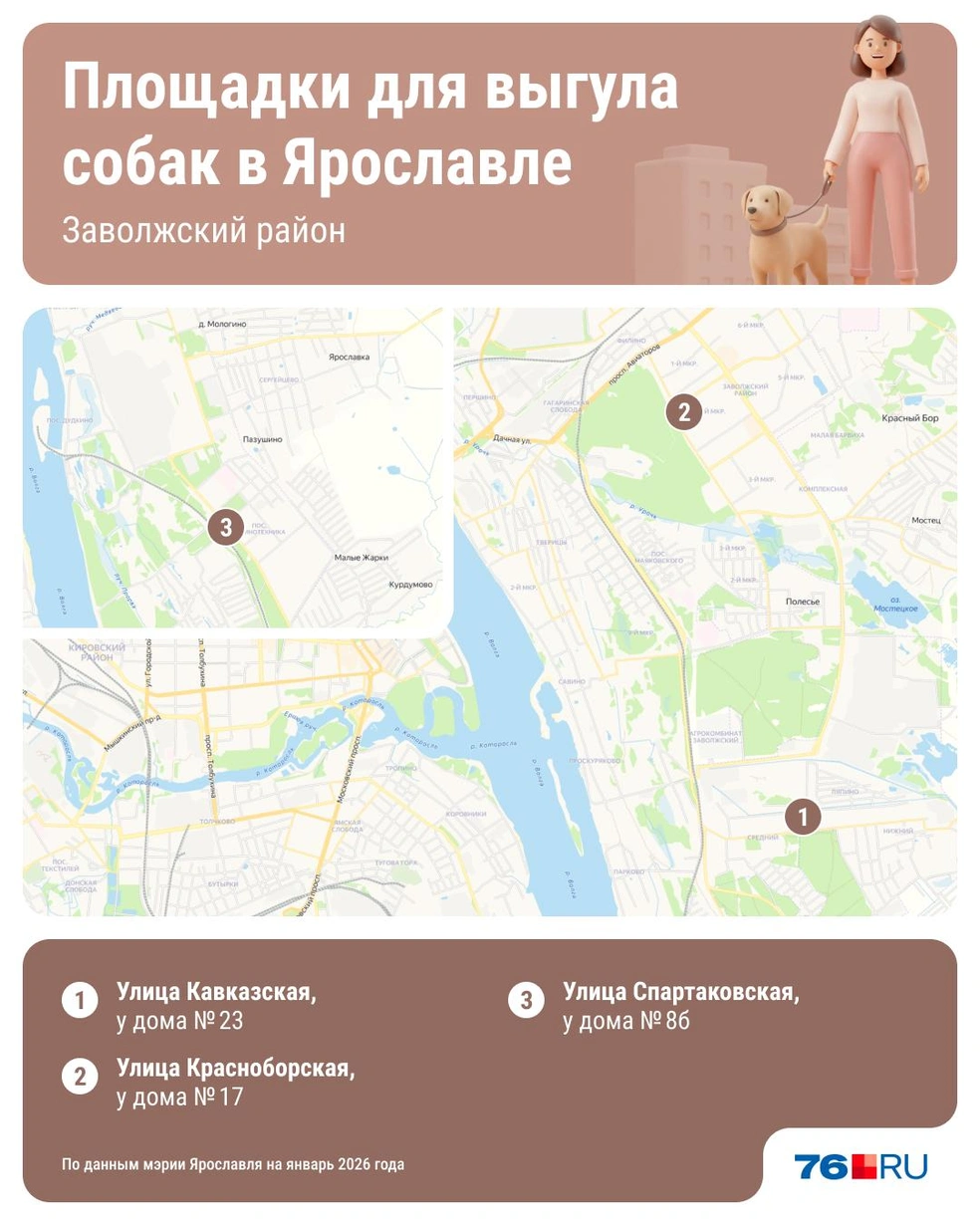 В Заволжском районе есть три площадки для выгула собак  | Источник: Юрий Скулыбердин / Городские медиа