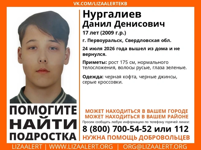 Источник: «ЛизаАлерт» Свердловской области
