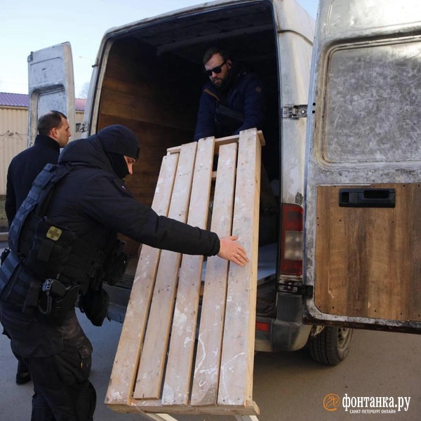 Источник: Валентин Егоршин / «Фонтанка.ру»