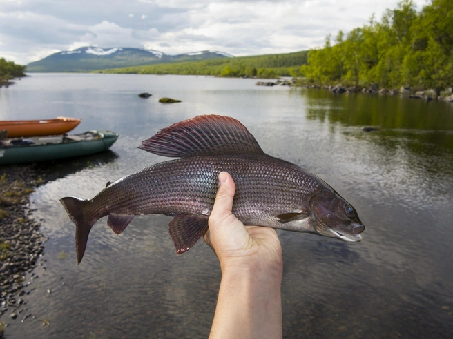 Источник: Shutterstock/Fotodom.ru