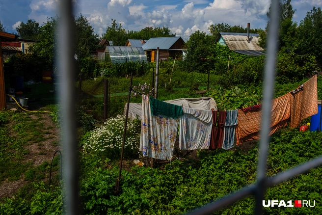 Уже захотелось пожить в деревне?