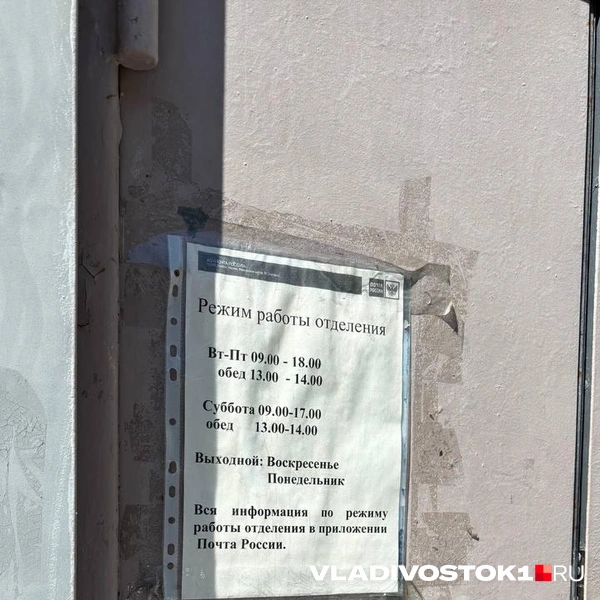 Источник: Елена Буйвол / VLADIVOSTOK1.RU