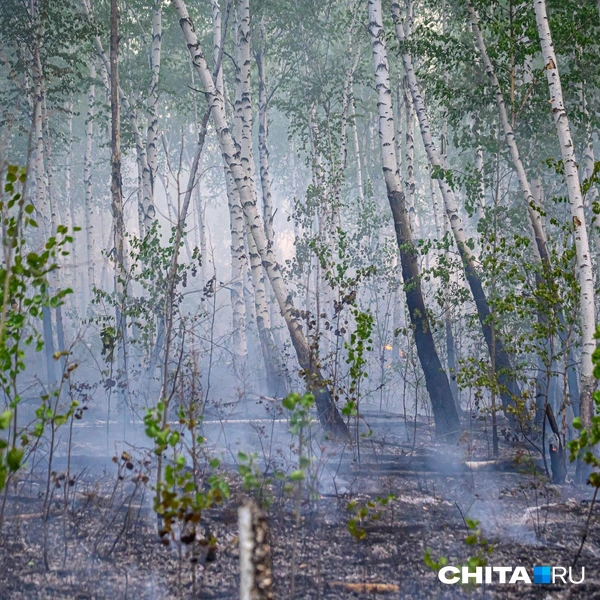 Источник: Олег Фёдоров / CHITA.RU