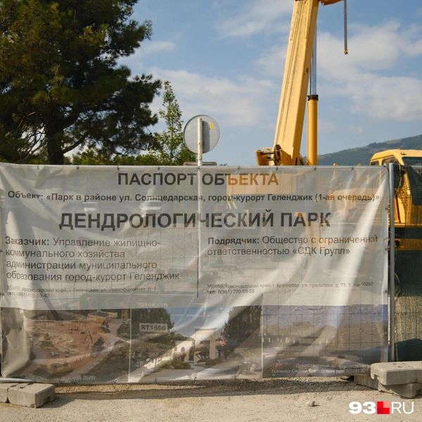 Источник: Дарья Паращенко / 93.RU