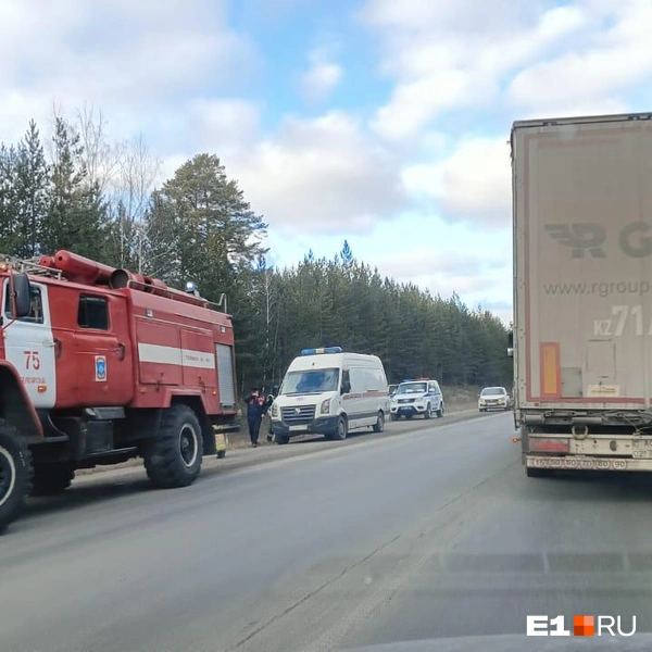 Источник: Читатель E1.RU
