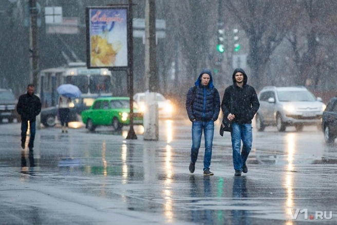 Ледяной дождь обрушился на Волгоград | Источник: Виктор Ястребов