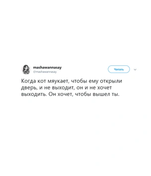 Шутки вторника и неопознанный пингвин