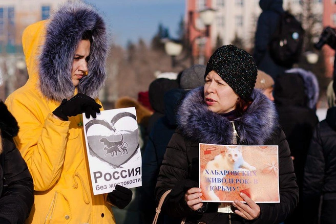 Источник: Ксения Зимина