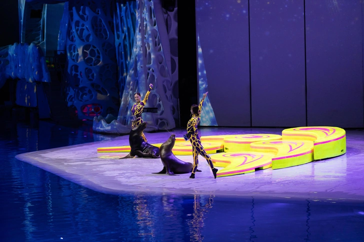 Источник: пресс-служба