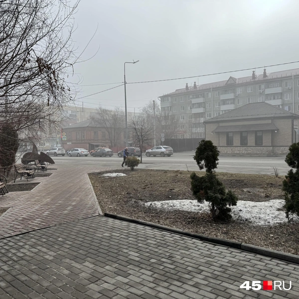 Источник: Юлия Король / 45.RU 