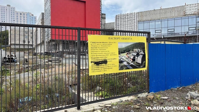 Источник: Елена Буйвол / VLADIVOSTOK1.RU