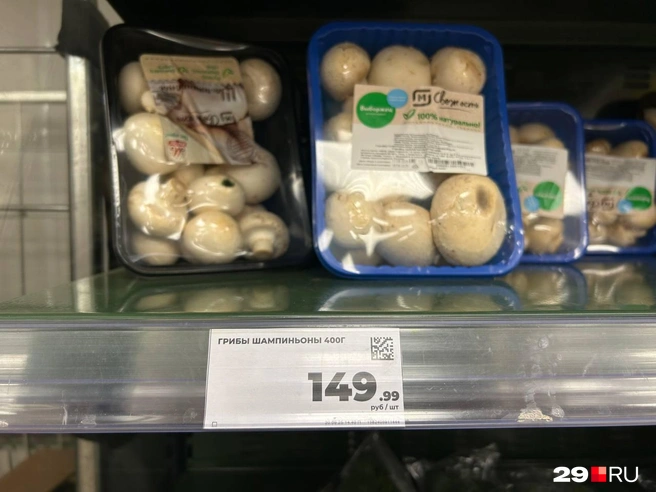 Источник: Кристина Полевая / 29.RU