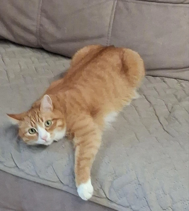 В смысле завтра понедельник? Вчера же только суббота была!  | Источник: читатель 63.RU 