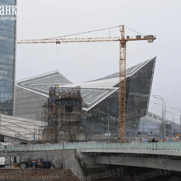 Источник: Андрей Бок / «Фонтанка.ру»