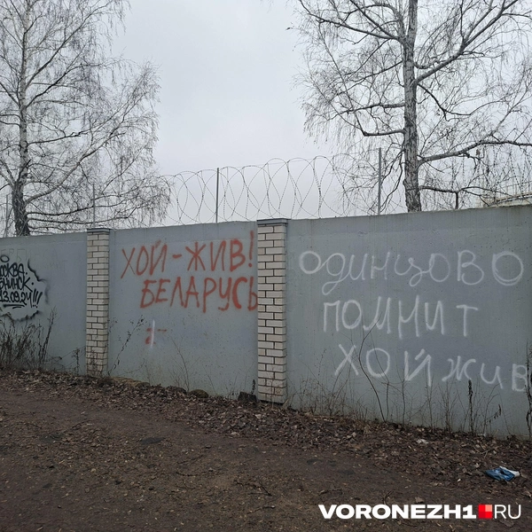 Источник: Алёна Воропаева / Voronezh1.ru