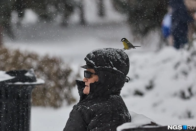 Ярославскую область накроет метель