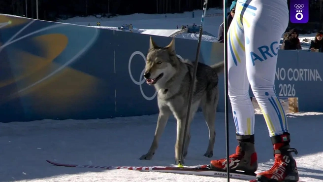 Источник: Скриншот из трансляции Okko
