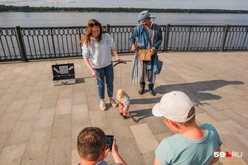 Пермячка захотела, чтобы Семен Степанович танцевал под звуки шарманки | Источник: Тимофей Калмаков / 59.RU