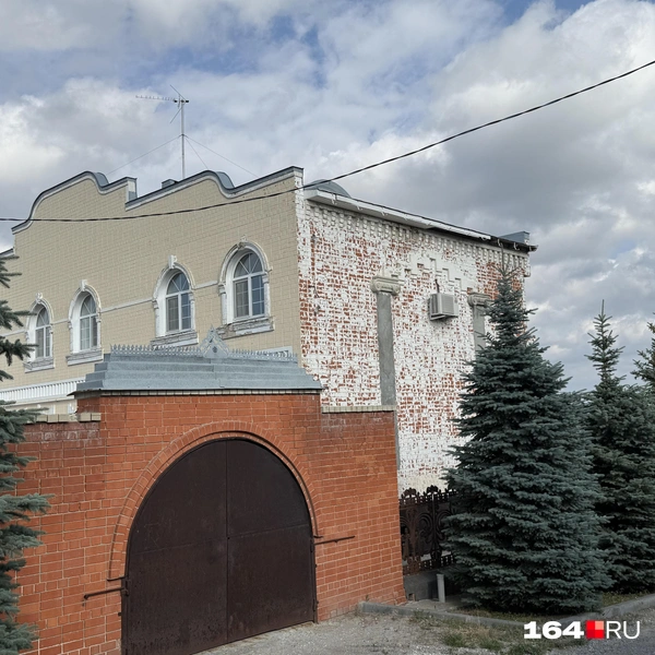 Источник: Сергей Петунин / 164.RU