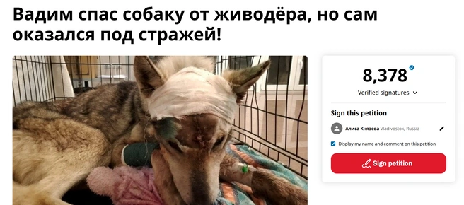 Источник: change.org / T.me