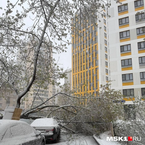 Перекрытый выезд из двора на Волгоградском проспекте | Источник: читатель MSK1.RU
