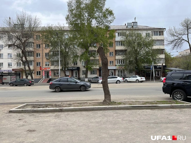 В администрации уверяют, что так лучше | Источник: Андрей Бирюков / UFA1.RU