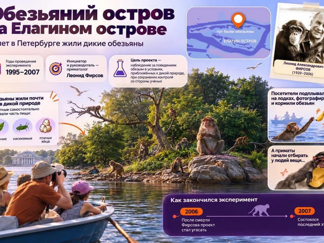 А на другом конце Петербурга когда-то происходила история еще более необычная | Источник: Кирилл Григошин / «Фонтанка.ру»