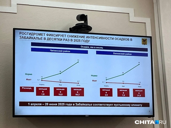 Источник: Александр Хамраев / СHITA.RU