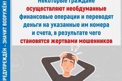 Томичка перевела 16 тысяч мошенникам за щенка мальтипу