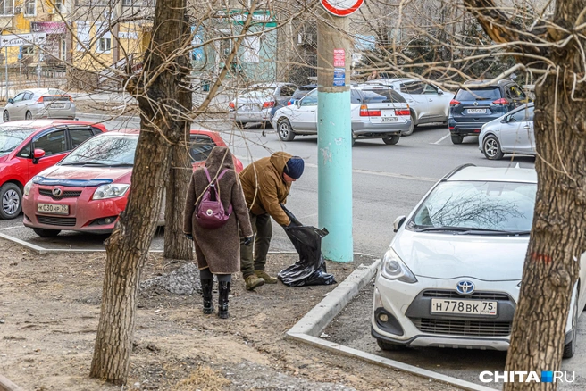 В начале осени сотрудники мэрии самостоятельно проводили «чистые четверги» | Источник: Олег Фёдоров / CHITA.RU