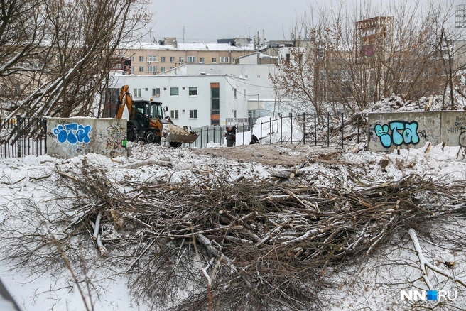 В ближайшее время рабочим предстоит подготовить территории, чтобы приступить к основным работам | Источник: Наталья Бурухина