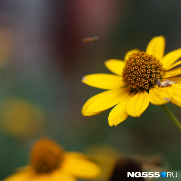 Даже не верится, что лето подходит к концу | Источник: Евгений Софийчук / NGS55.RU