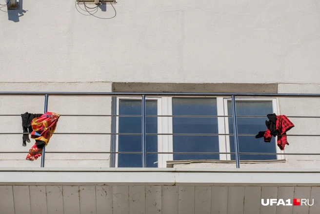 И ведь не улетели | Источник: Булат Салихов / UFA1.RU