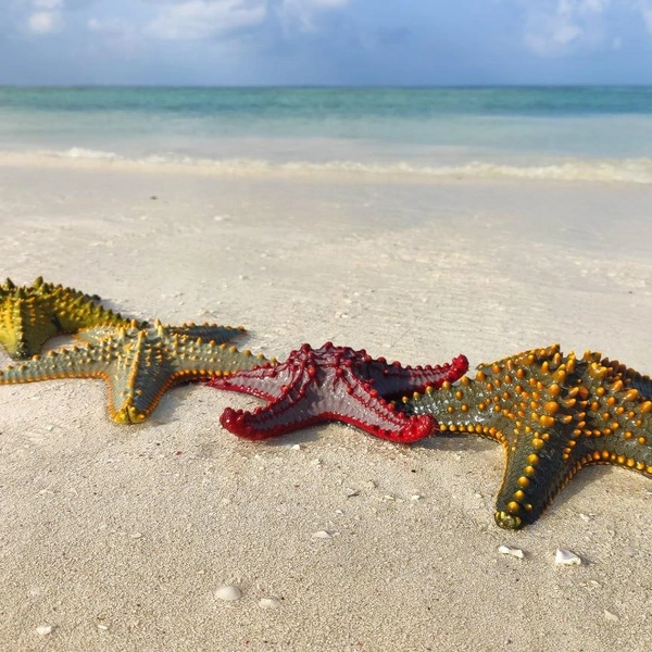 Источник: личный архив Натальи Бурухиной