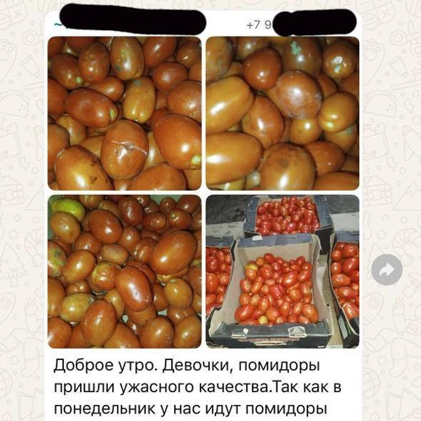 Источник: Александр Сафронов