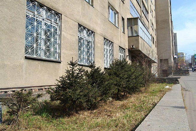 Источник: Роман Шадрин