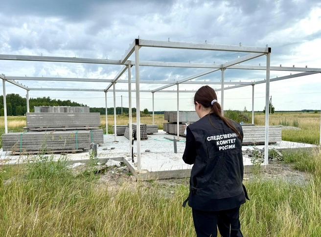 Участники проекта «Русская мечта» вместо домов получили недостроенные строения, а у кого-то на участках растет только трава | Источник: пресс-служба СУ СК России по Курганской области