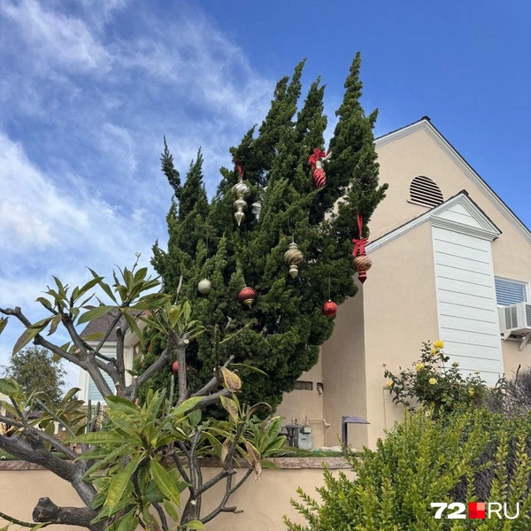 Источник: Читатель 72.RU