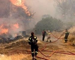 В Красноярском крае действуют 11 лесных пожаров | ngs24.ru