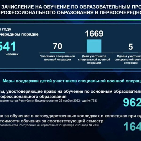 Источник: скриншот совещания главы Башкирии в правительстве региона