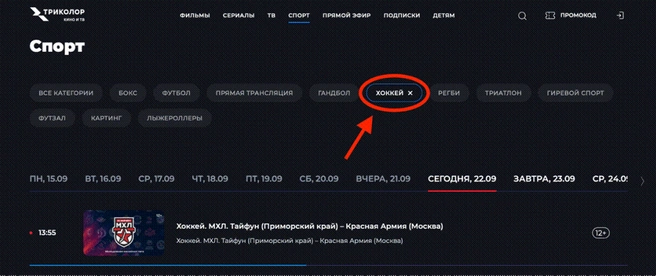 Источник: mhl.khl.ru