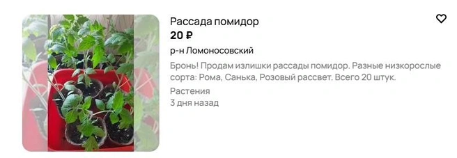 Источник: Avito.ru