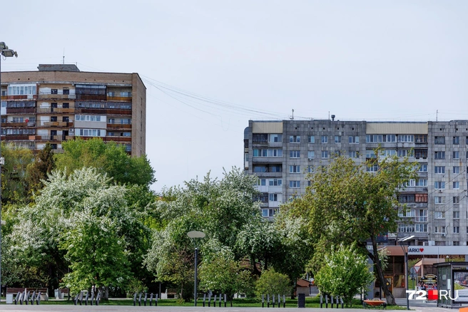 Весна в Тюмени официально вышла на пик красоты | Источник: Ирина Шарова / 72.RU