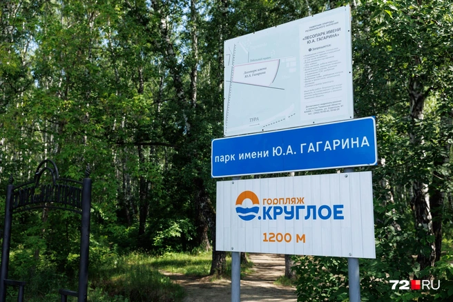 Впрочем, мимо вы не пройдете. Дорога к пляжу начинается от развязки Мельникайте и Дружбы | Источник: Ирина Шарова / 72.RU