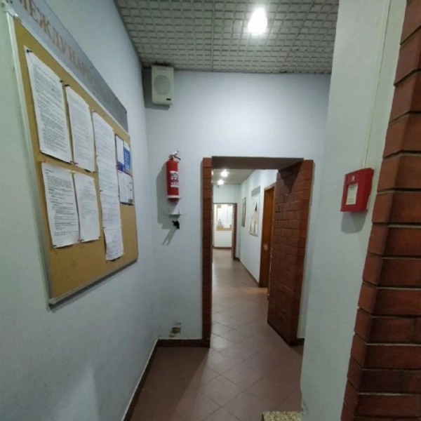 Коридор на первом этаже ректората | Источник: проектная документация / zakupki.gov.ru