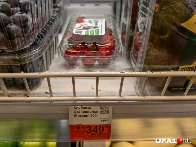 Затесалась между голубикой и авокадо | Источник: Булат Салихов / UFA1.RU