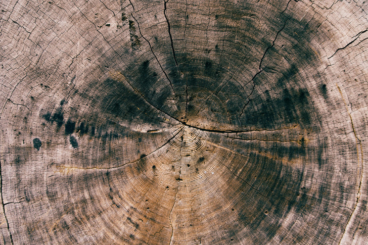 Чем обработать древесину от влаги и гниения: 6 доступных средств