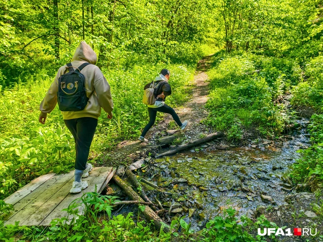 Несколько ручьев встретилась на пути | Источник: Булат Салихов / UFA1.RU