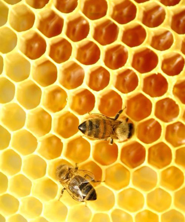 «Пчелиная» история: Guerlain выпустили красочный видеоролик в честь юбилейной коллекции Abeille Royale