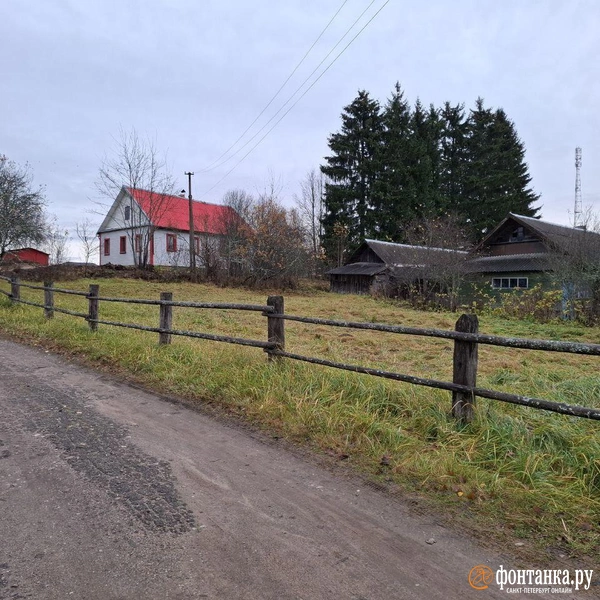 Источник: Ирина Багликова / «Фонтанка.ру»